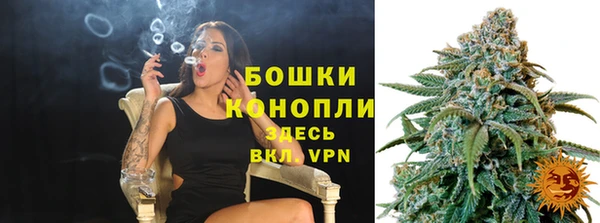 шишки Тутаев