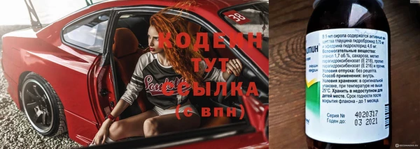 шишки Тутаев